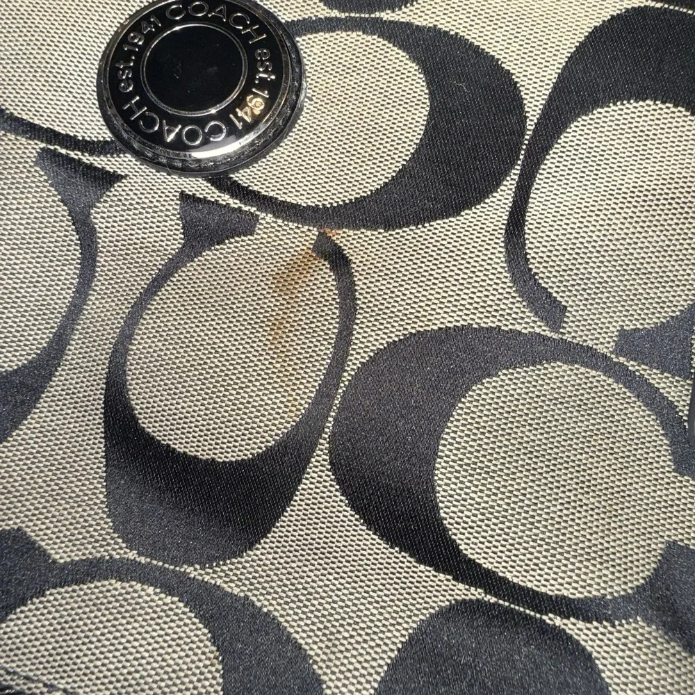 Coach Signature Jacquard Stripe Crossbody Zip Shoulder Bag Swing Pack F19220